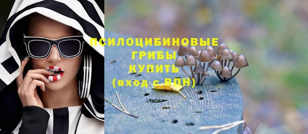 крисы Богородицк