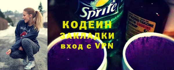крисы Богородицк