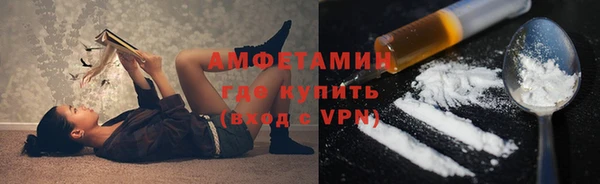 крисы Богородицк