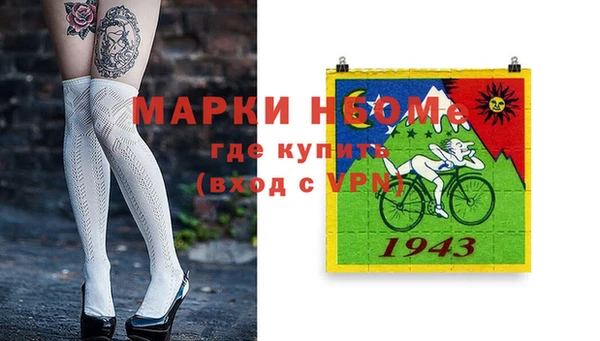 крисы Богородицк