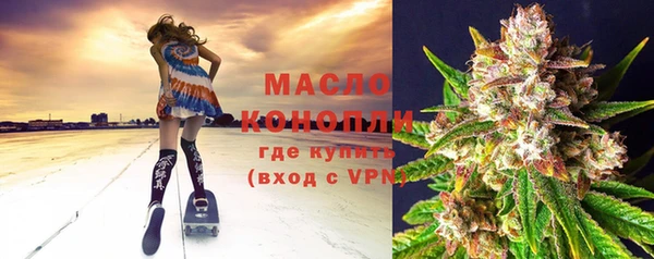 крисы Богородицк