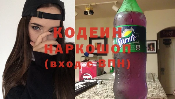 крисы Богородицк