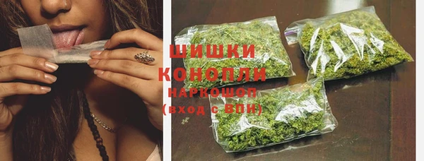 крисы Богородицк