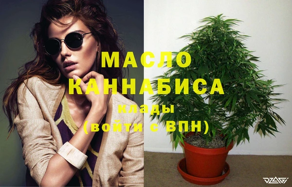 крисы Богородицк